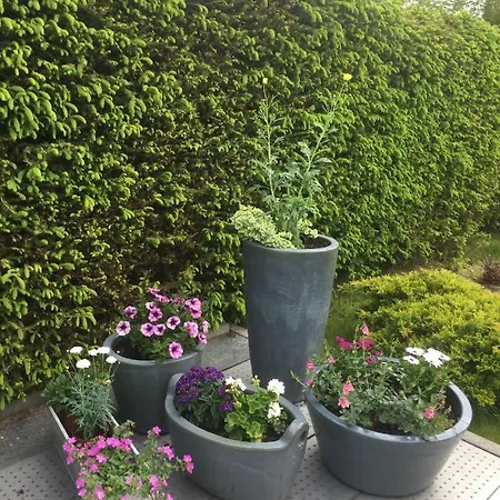 Ferienwohnung Weber Apartament Thermalbad Wiesenbad